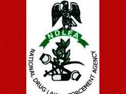 National Drug Law Enforcement Agency (NDLEA)